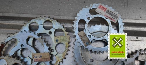 IMG_20230826_183332